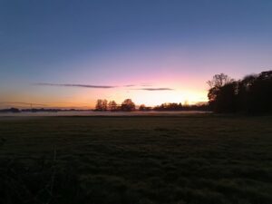 ferienhof ohlenbusch worpswede landschaft 032