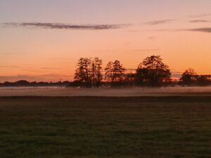 ferienhof ohlenbusch worpswede landschaft 034