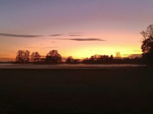 ferienhof ohlenbusch worpswede landschaft 036