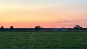 ferienhof ohlenbusch worpswede landschaft 038