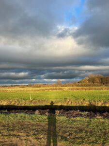 ferienhof ohlenbusch worpswede landschaft 041