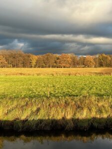 ferienhof ohlenbusch worpswede landschaft 043