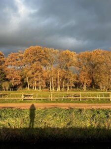 ferienhof ohlenbusch worpswede landschaft 045