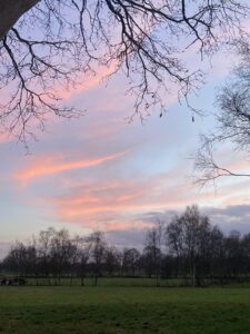 ferienhof ohlenbusch worpswede landschaft 050