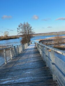 ferienhof ohlenbusch worpswede landschaft 051