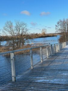 ferienhof ohlenbusch worpswede landschaft 052
