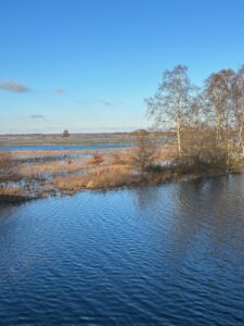 ferienhof ohlenbusch worpswede landschaft 053