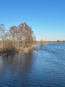 ferienhof ohlenbusch worpswede landschaft 054