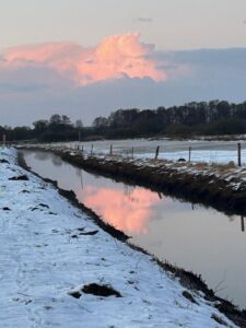 ferienhof ohlenbusch worpswede landschaft 058