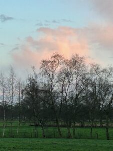 ferienhof ohlenbusch worpswede landschaft 062
