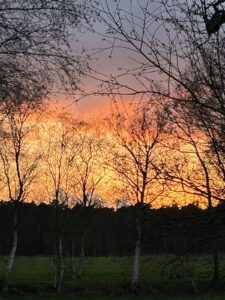 ferienhof ohlenbusch worpswede landschaft 063