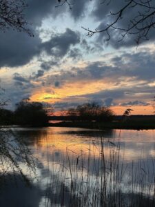 ferienhof ohlenbusch worpswede landschaft 070
