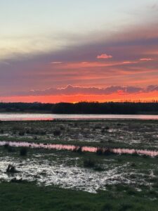 ferienhof ohlenbusch worpswede landschaft 074