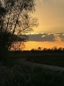 ferienhof ohlenbusch worpswede landschaft 077