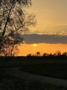 ferienhof ohlenbusch worpswede landschaft 078