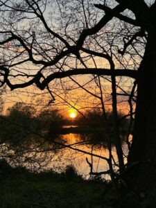 ferienhof ohlenbusch worpswede landschaft 079