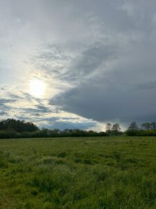 ferienhof ohlenbusch worpswede landschaft 086