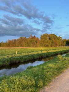 ferienhof ohlenbusch worpswede landschaft 089