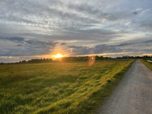 ferienhof ohlenbusch worpswede landschaft 090