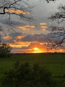 ferienhof ohlenbusch worpswede landschaft 093