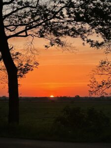 ferienhof ohlenbusch worpswede landschaft 096