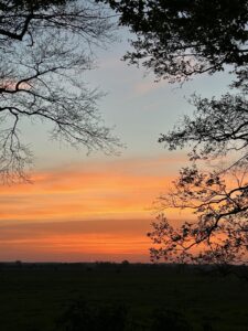ferienhof ohlenbusch worpswede landschaft 097