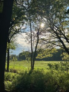 ferienhof ohlenbusch worpswede landschaft 098