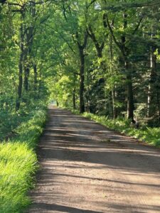 ferienhof ohlenbusch worpswede landschaft 099