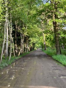 ferienhof ohlenbusch worpswede landschaft 100