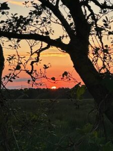 ferienhof ohlenbusch worpswede landschaft 102