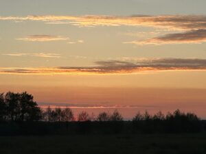 ferienhof ohlenbusch worpswede landschaft 103