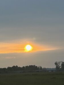 ferienhof ohlenbusch worpswede landschaft 108