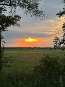 ferienhof ohlenbusch worpswede landschaft 110