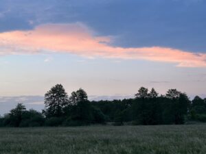 ferienhof ohlenbusch worpswede landschaft 111