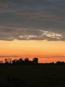 ferienhof ohlenbusch worpswede landschaft 114