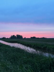 ferienhof ohlenbusch worpswede landschaft 115