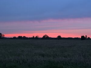 ferienhof ohlenbusch worpswede landschaft 116