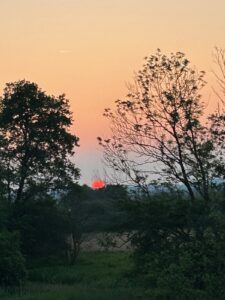 ferienhof ohlenbusch worpswede landschaft 118