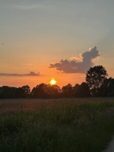 ferienhof ohlenbusch worpswede landschaft 120