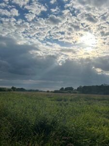 ferienhof ohlenbusch worpswede landschaft 126