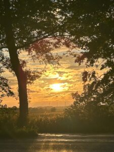 ferienhof ohlenbusch worpswede landschaft 127