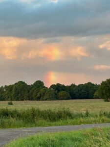 ferienhof ohlenbusch worpswede landschaft 128