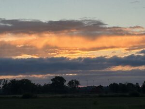ferienhof ohlenbusch worpswede landschaft 129