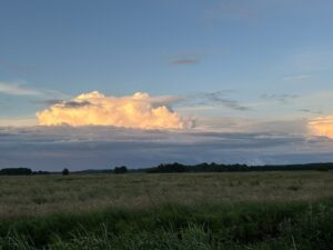 ferienhof ohlenbusch worpswede landschaft 130