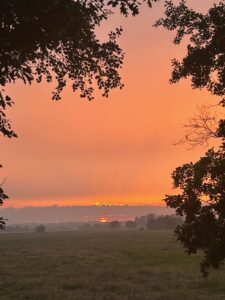 ferienhof ohlenbusch worpswede landschaft 132