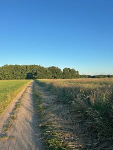 ferienhof ohlenbusch worpswede landschaft 137