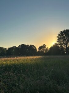 ferienhof ohlenbusch worpswede landschaft 138