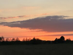 ferienhof ohlenbusch worpswede landschaft 140