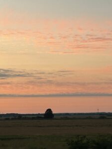 ferienhof ohlenbusch worpswede landschaft 141