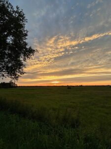 ferienhof ohlenbusch worpswede landschaft 145